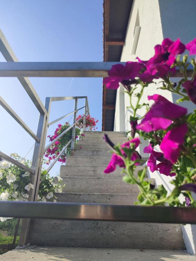 Apartman Flora 维尔蒂尼克 外观 照片