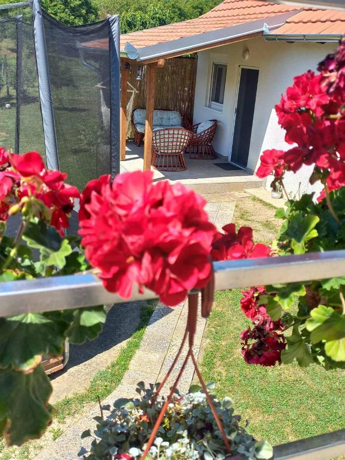 Apartman Flora 维尔蒂尼克 外观 照片
